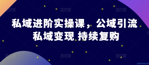 私域进阶实操课，公域引流 私域变现 持续复购-时课网赚