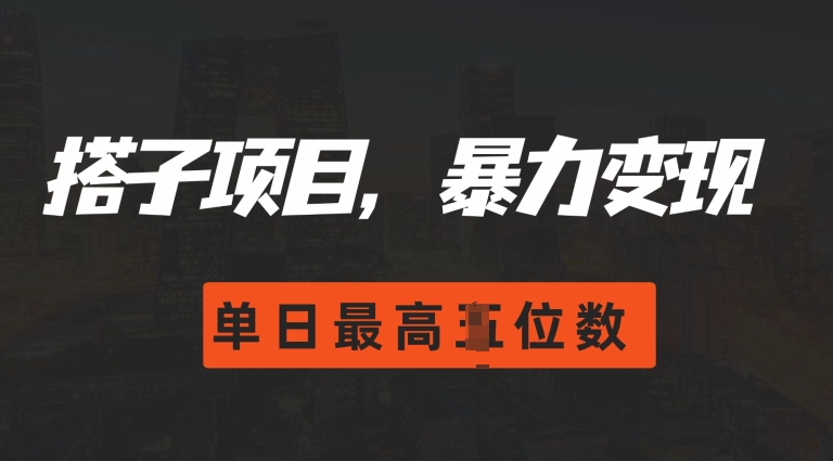 2024搭子玩法，0门槛，暴力变现，单日最高破四位数【揭秘】-时课网赚