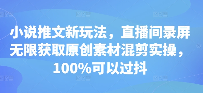 小说推文新玩法，直播间录屏无限获取原创素材混剪实操-时课网赚