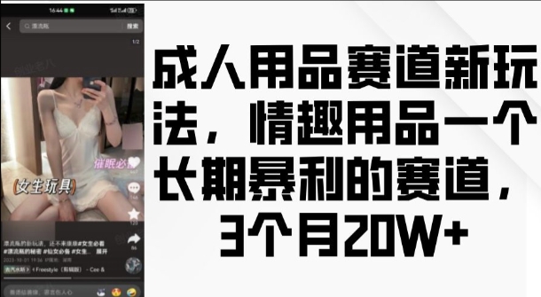 成人用品赛道新玩法，情趣用品一个长期暴利的赛道，3个月收益20个-时课网赚