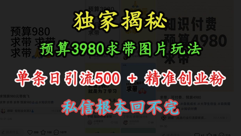 预算3980求带 图片玩法，单条日引流500+精准创业粉，私信根本回不完-时课网赚