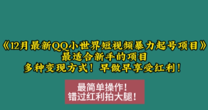 12月最新QQ小世界短视频暴力起号项目，最适合新手的项目，多种变现方式-时课网赚