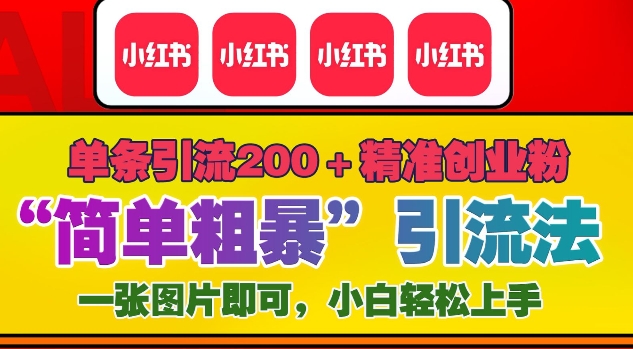 12月底小红书”简单粗暴“引流法，单条引流200+精准创业粉-时课网赚