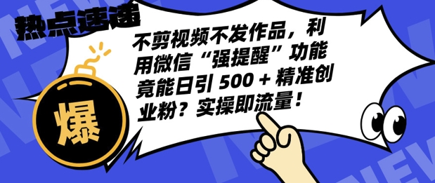 不剪视频不发作品，视频号私信日引 500 + 精准创业粉?实操即流量!-时课网赚