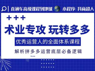 术业专攻玩转多多，优秀运营人的全面体系课程，解析拼多多运营底层必备逻辑-时课网赚