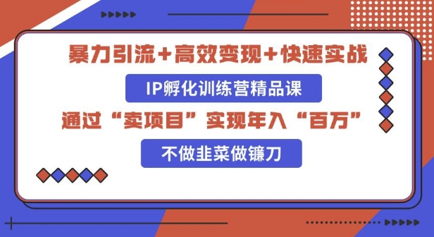 知识付费独家玩法：精准引流+高效变现，简单复制成功模式，最新IP共创导师训练营玩法-时课网赚