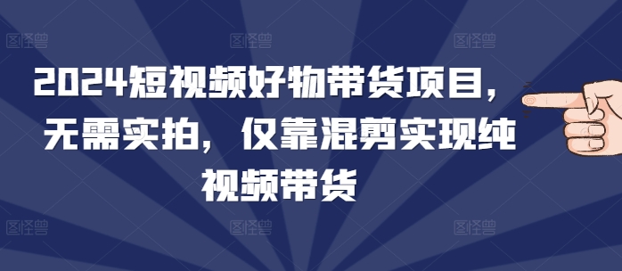 2024短视频好物带货项目，无需实拍，仅靠混剪实现纯视频带货-时课网赚