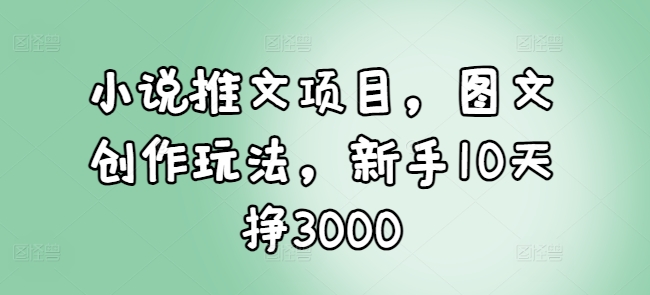 小说推文项目，图文创作玩法，新手10天挣3000-时课网赚