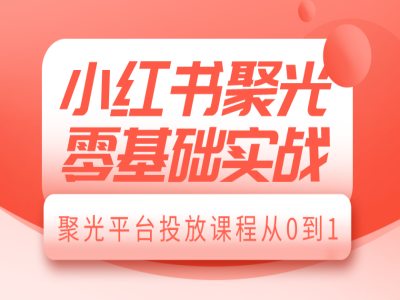 小红书聚光零基础实战，聚光平台投放课程从0到1-时课网赚