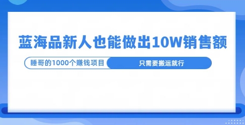 这个蓝海品，新号也能卖出10W的销售额，年底疯狂怼量就能出结果-时课网赚