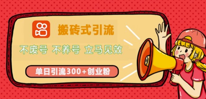 快手搬砖式引流，不废号，不养号，立马见效，单日引流300+精准创业粉-时课网赚