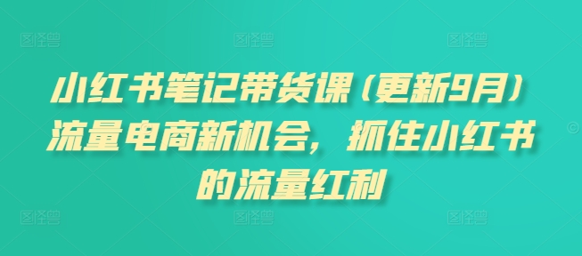 小红书笔记带货课(更新12月)流量电商新机会，抓住小红书的流量红利-时课网赚