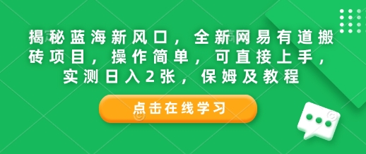 揭秘蓝海新风口，全新网易有道搬砖项目，操作简单，可直接上手，实测日入2张，保姆及教程-时课网赚