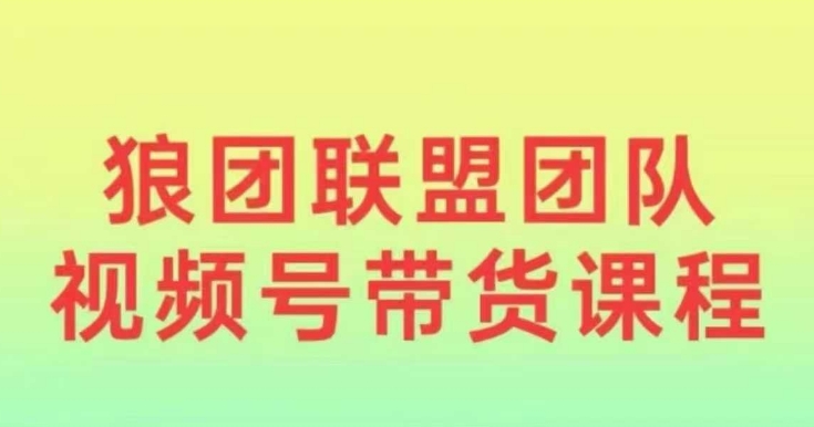 狼团联盟2024视频号带货，0基础小白快速入局视频号-时课网赚