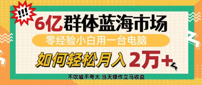 6亿群体蓝海市场，零经验小白用一台电脑，如何轻松月入过w【揭秘】-时课网赚