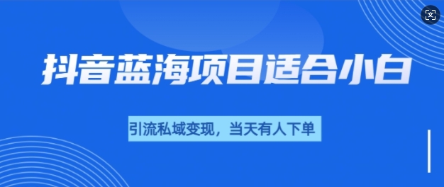 抖音蓝海小赛道私域变现项目，单价9.9单天变现100+，实操玩法分享给你-时课网赚