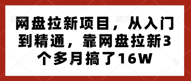 网盘拉新项目，从入门到精通，靠网盘拉新3个多月搞了16W-时课网赚