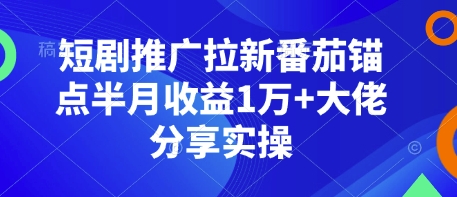 短剧推广拉新番茄锚点半月收益1万+大佬分享实操-时课网赚