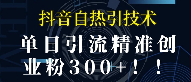 抖音自热引流，单日引流精准创业粉300+-时课网赚