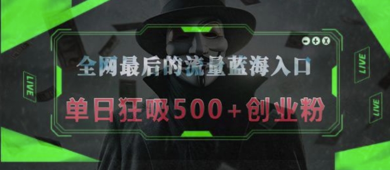 全网最后的流量蓝海入口，半小时引流50+创业粉，单日狂吸500+创业粉-时课网赚