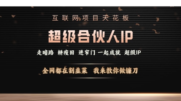 互联网项目天花板，超级合伙人IP，全网都在割韭菜，我来教你做镰刀【仅揭秘】-时课网赚