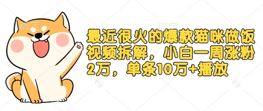 最近很火的爆款猫咪做饭视频拆解，小白一周涨粉2万，单条10万+播放(附保姆级教程)-时课网赚