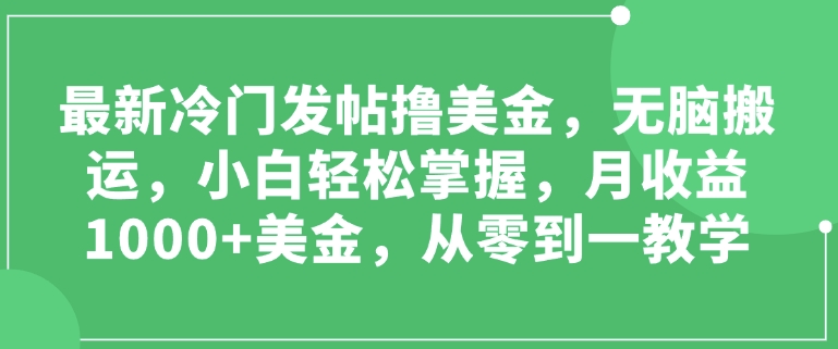 最新冷门发帖撸美金，无脑搬运，小白轻松掌握，月收益1000+美金，从零到一教学-时课网赚