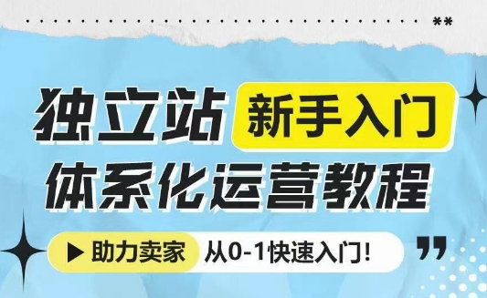 独立站新手入门体系化运营教程，助力独立站卖家从0-1快速入门!-时课网赚