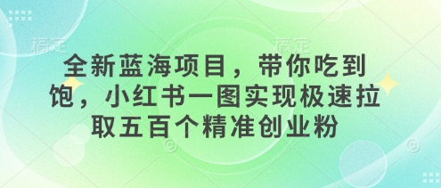 全新蓝海项目，带你吃到饱，小红书一图实现极速拉取五百个精准创业粉-时课网赚