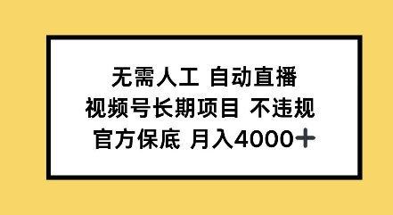 无需人工自动直播，视频号长期项目不违规，官方保底月入4000左右-时课网赚