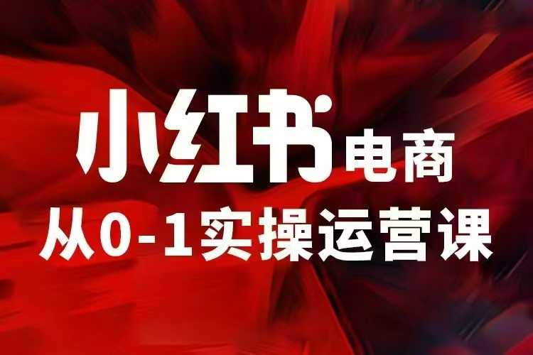 小红书电商运营，97节小红书vip内部课，带你实现小红书赚钱-时课网赚