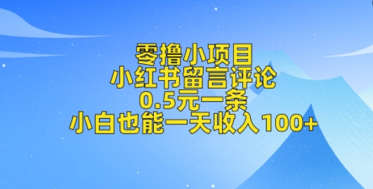 零撸小项目，小红书留言评论，0.5元一条，小白也能一天收入100+-时课网赚