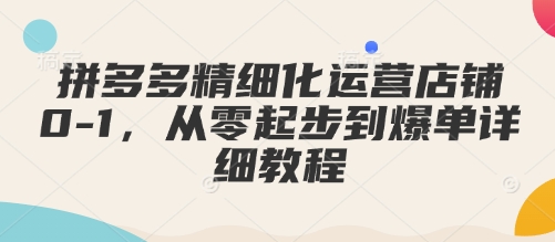 拼多多精细化运营店铺0-1，从零起步到爆单详细教程-时课网赚