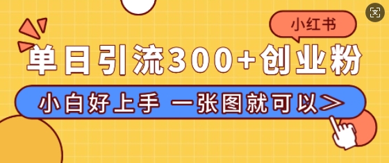 小红书单日引流300+创业粉，“简单粗暴”引流法，小白好上手，私信回不完-时课网赚