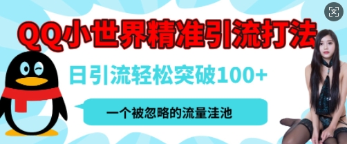 QQ私域引流平台，流量年轻且巨大，实操单日引流100+创业粉，月精准变现1W+-时课网赚