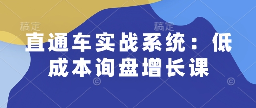 直通车实战系统：低成本询盘增长课，让个人通过技能实现升职加薪，让企业低成本获客，订单源源不断-时课网赚