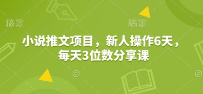 小说推文项目，新人操作6天，每天3位数分享课-时课网赚