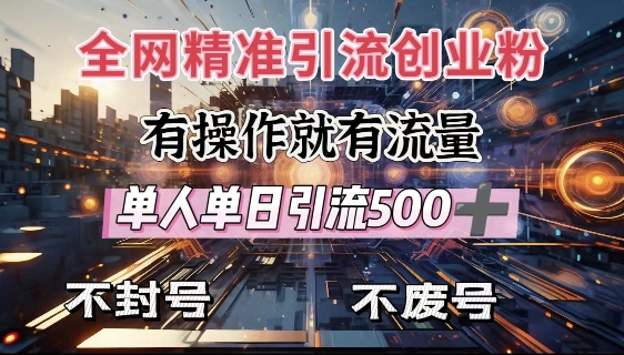 全网独家引流创业粉，有操作就有流量，单人单日引流500+，不封号、不费号-时课网赚