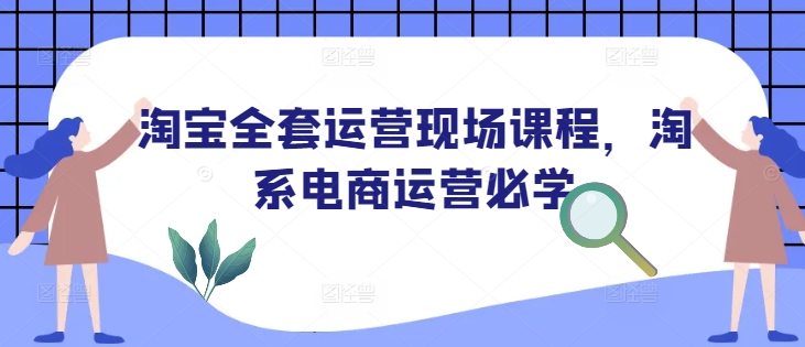 淘宝全套运营现场课程，淘系电商运营必学-时课网赚