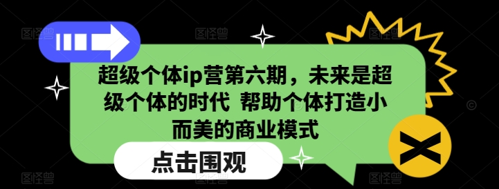 超级个体ip营第六期，未来是超级个体的时代  帮助个体打造小而美的商业模式-时课网赚