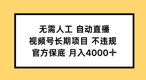 无需人工自动直播，视频号长期项目 不违规，官方保底月入4k左右-时课网赚