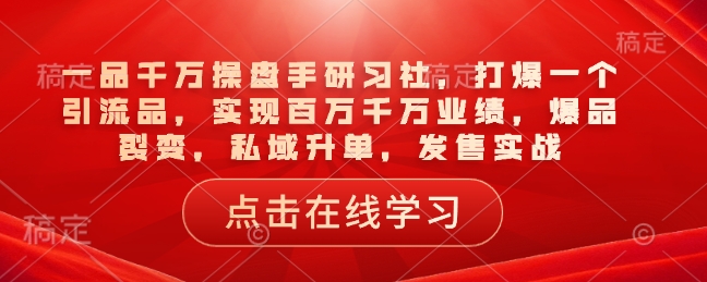 一品千万操盘手研习社，打爆一个引流品，实现百万千万业绩，爆品裂变，私域升单，发售实战-时课网赚