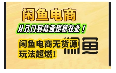 闲鱼电商实战课，从入门到精通秘籍在此，闲鱼电商无货源玩法超燃!-时课网赚