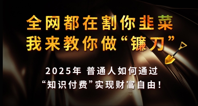 全网都在割你韭菜，我来教你做镰刀，2025年普通人如何通过 知识付费 实现财F自由【揭秘】-时课网赚