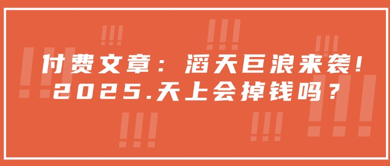 付费文章：滔天巨浪来袭！2025天上会掉钱吗？-时课网赚