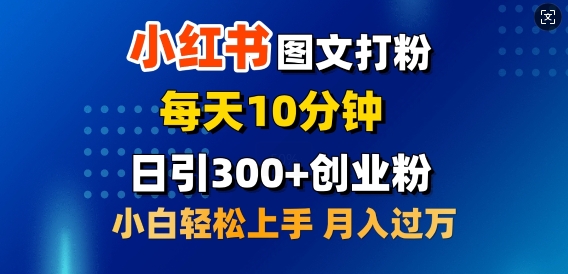 2月小红书图文打粉，每天10分钟，日引300+创业粉，小白轻松月入过W-时课网赚