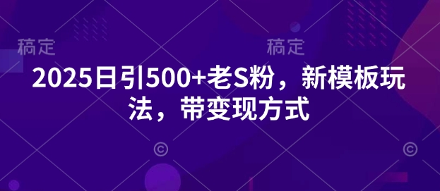 2025日引500+老S粉，新模板玩法，带变现方式-时课网赚