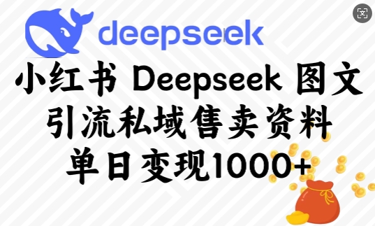 小红书Deepseek图文引流私域售卖资料，单日变现多张-时课网赚