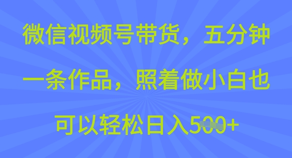 微信视频号带货，五分钟一条作品，照着做小白也可以轻松日入5张-时课网赚