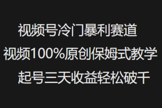 视频号冷门暴利赛道视频100%原创保姆式教学起号三天收益轻松破千-时课网赚